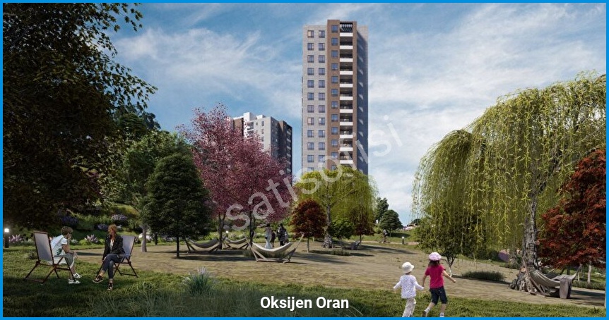 Oksijen Oran 6