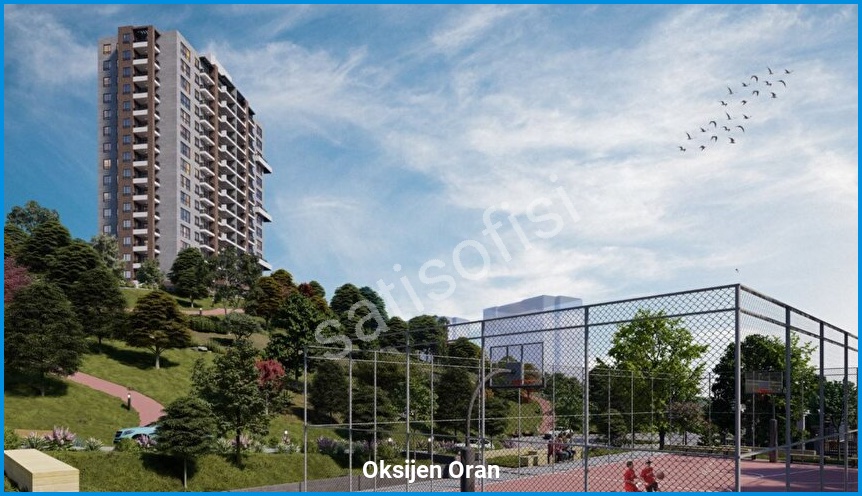Oksijen Oran 8