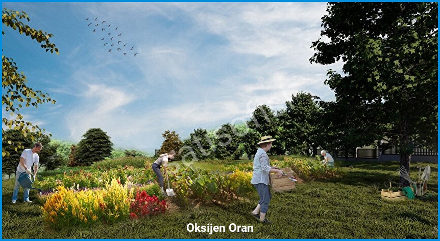 Oksijen Oran 9