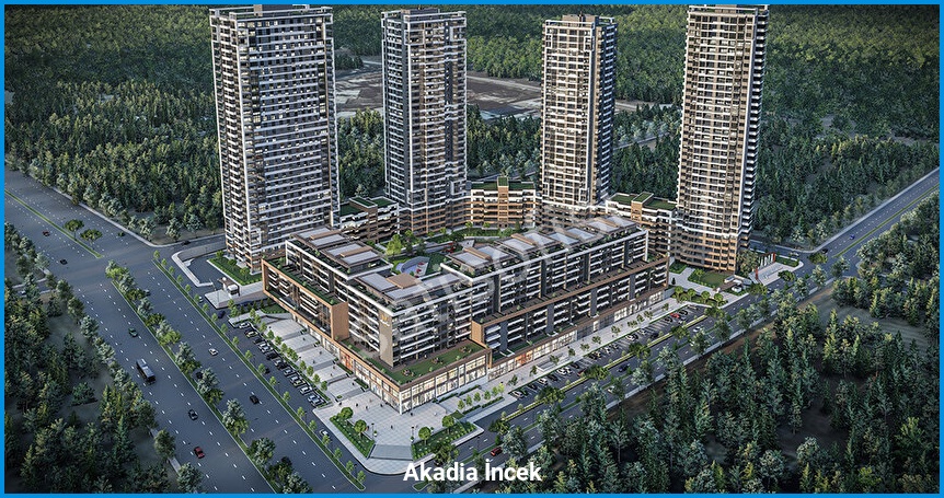 Akadia İncek