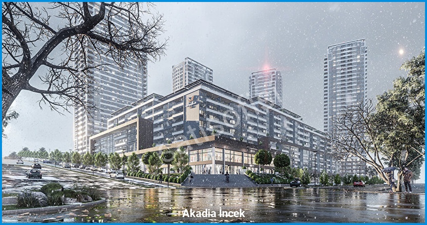 Akadia İncek 11