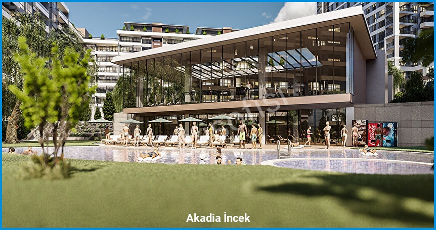Akadia İncek 12