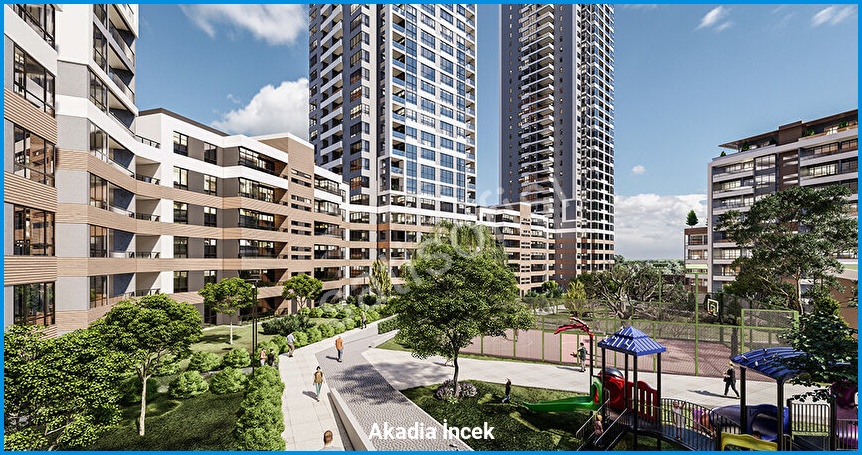 Akadia İncek 14