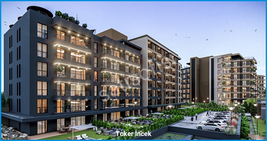 Toker İncek — görsel