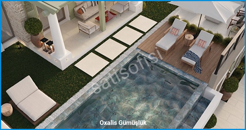 Oxalis Gümüşlük — görsel