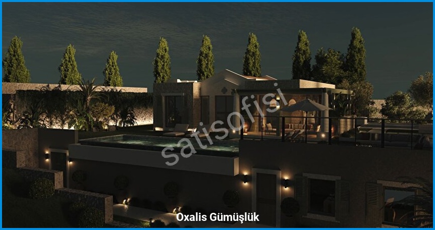 Oxalis Gümüşlük — görsel