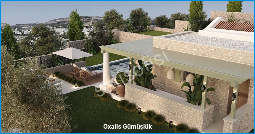 Oxalis Gümüşlük — görsel