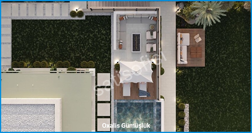 Oxalis Gümüşlük — görsel