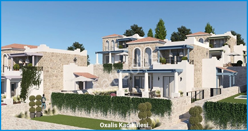 Oxalis Kadıkalesi — görsel