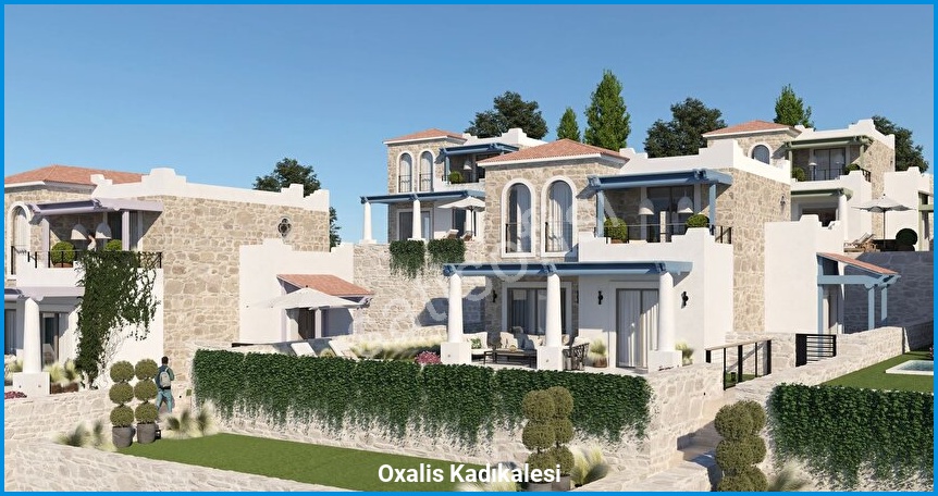 Oxalis Kadıkalesi — görsel