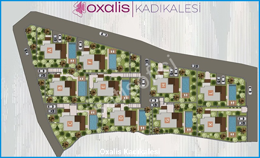 Oxalis Kadıkalesi — görsel