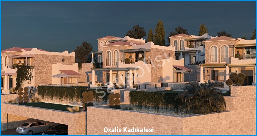 Oxalis Kadıkalesi — görsel
