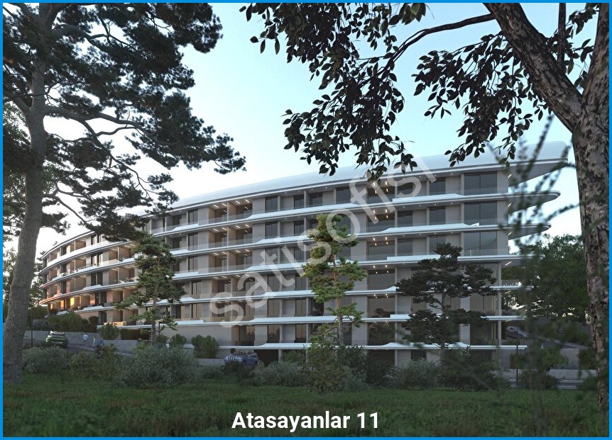 Atasayanlar 11 3
