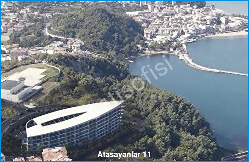Atasayanlar 11 5