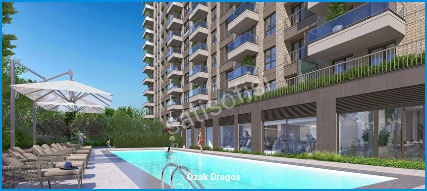 Özak Dragos 2