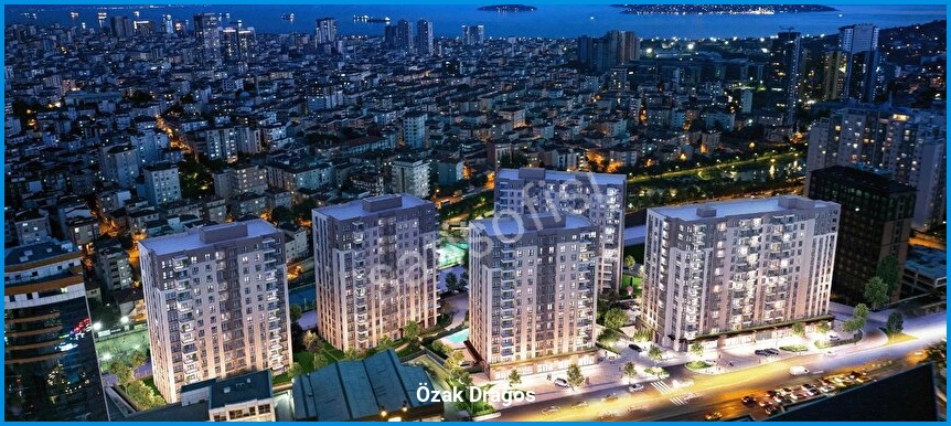 Özak Dragos 6