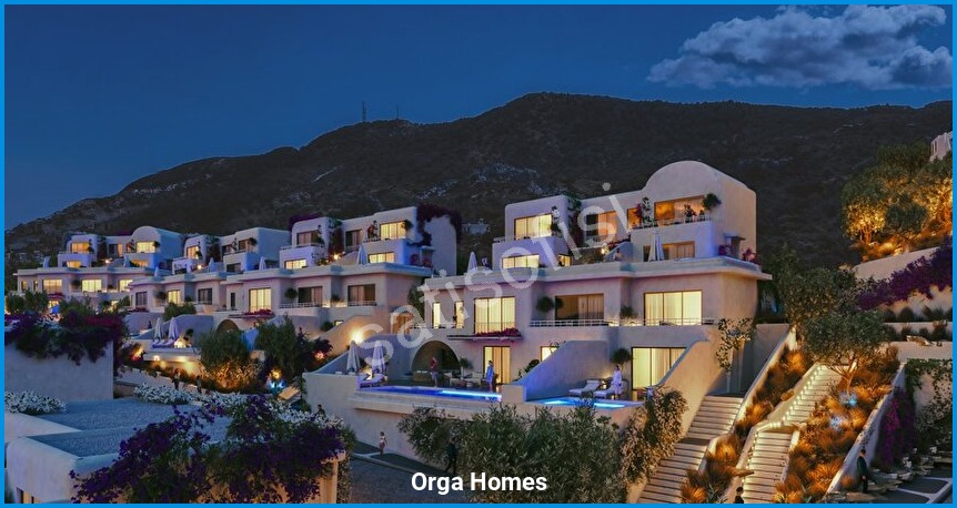 Orga Homes 12