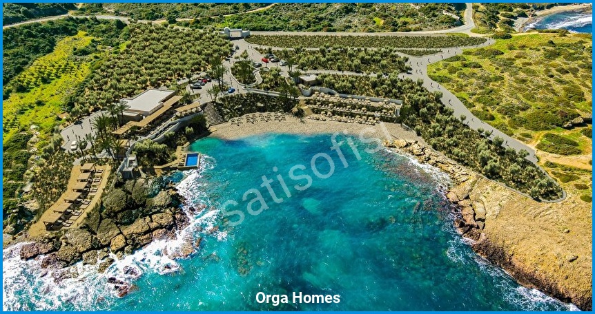 Orga Homes 13