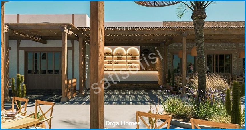 Orga Homes 17