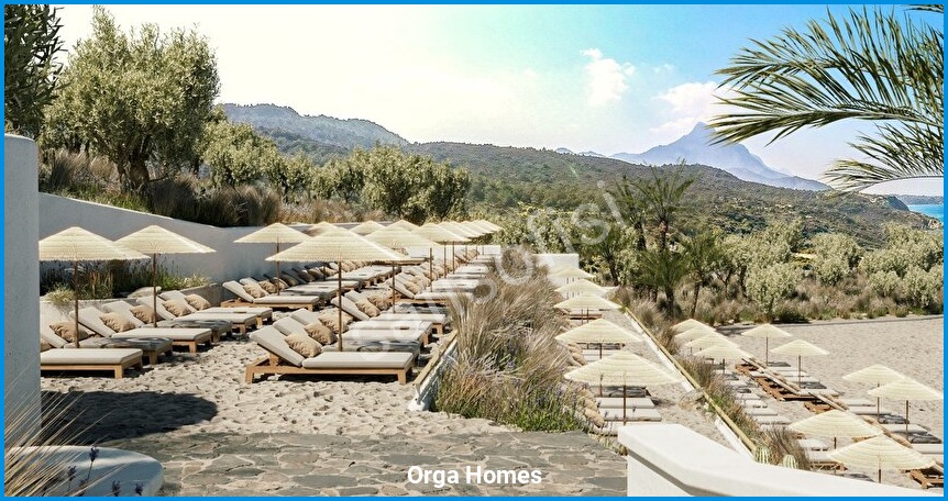 Orga Homes 18