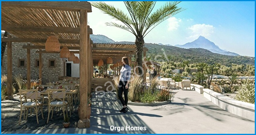 Orga Homes 19