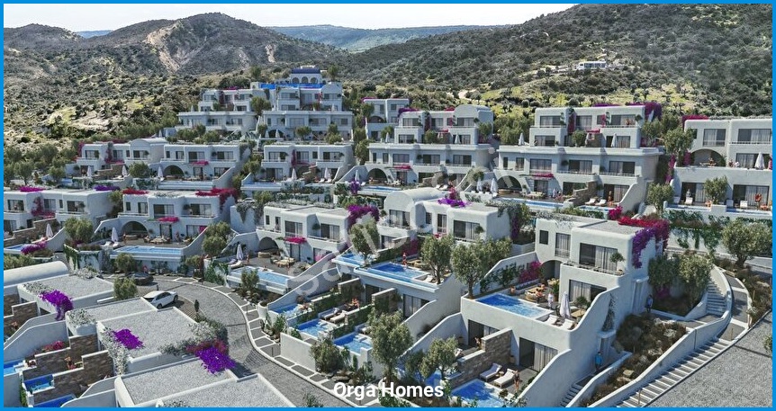 Orga Homes 4