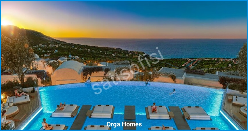 Orga Homes 6