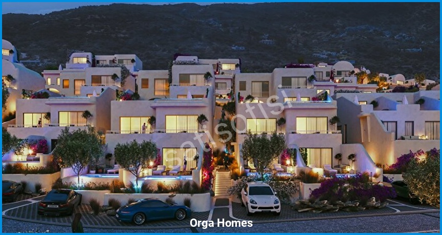 Orga Homes 7