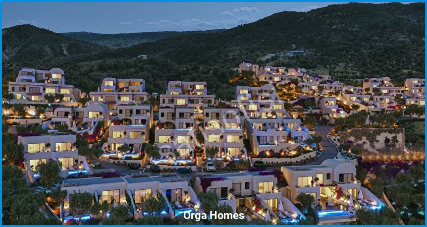 Orga Homes 8