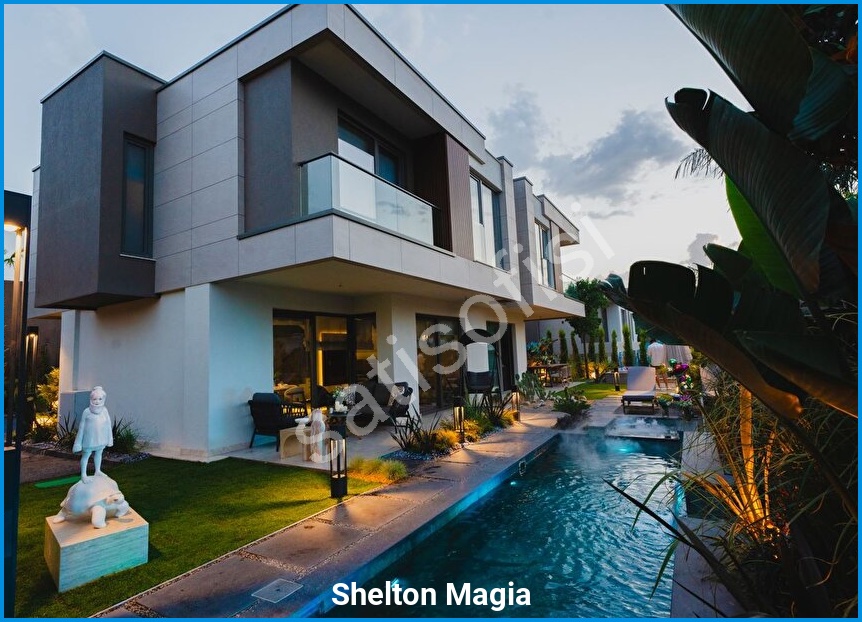 Shelton Magia görsel 12