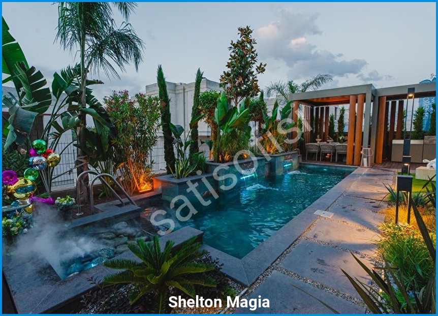 Shelton Magia görsel 13