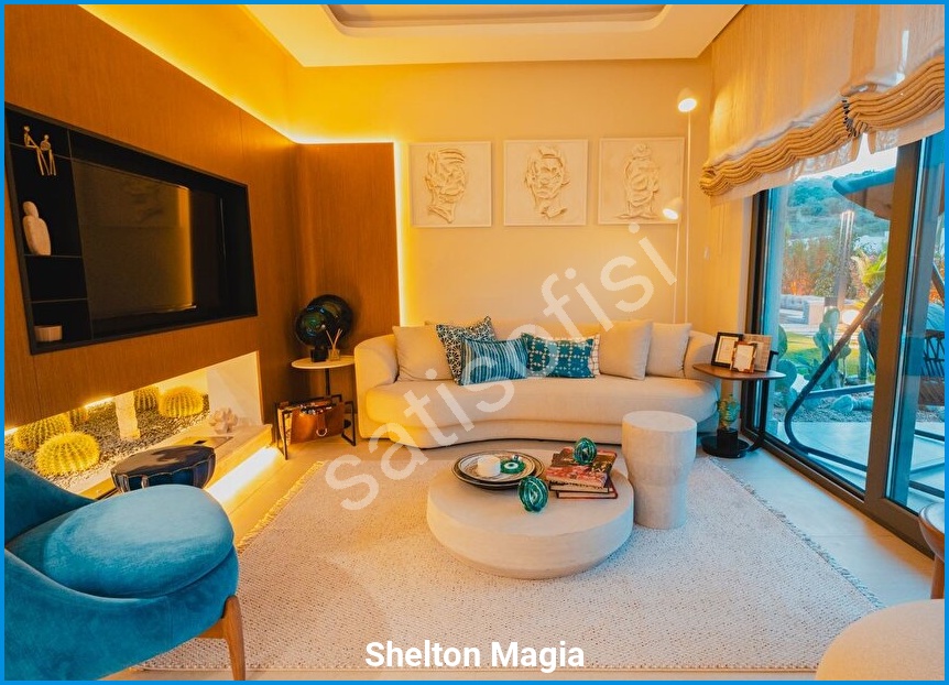 Shelton Magia görsel 16