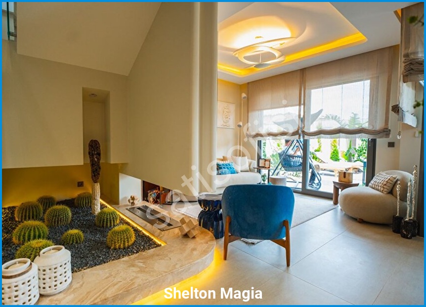 Shelton Magia görsel 18