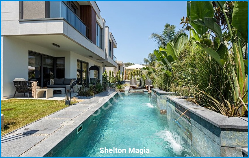 Shelton Magia görsel 2