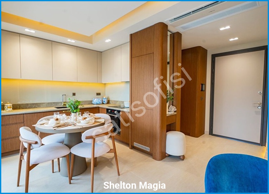 Shelton Magia görsel 20