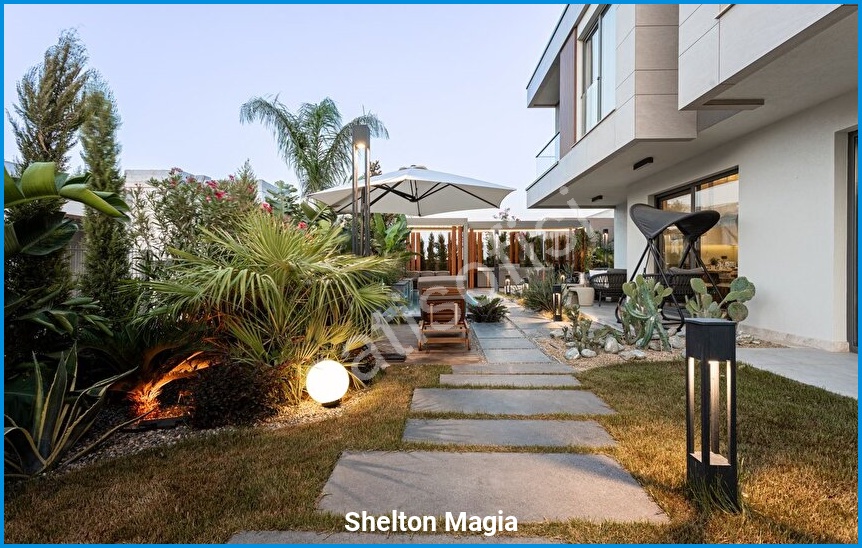 Shelton Magia görsel 9