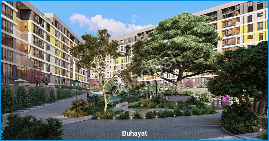 Buhayat İstanbul — görsel