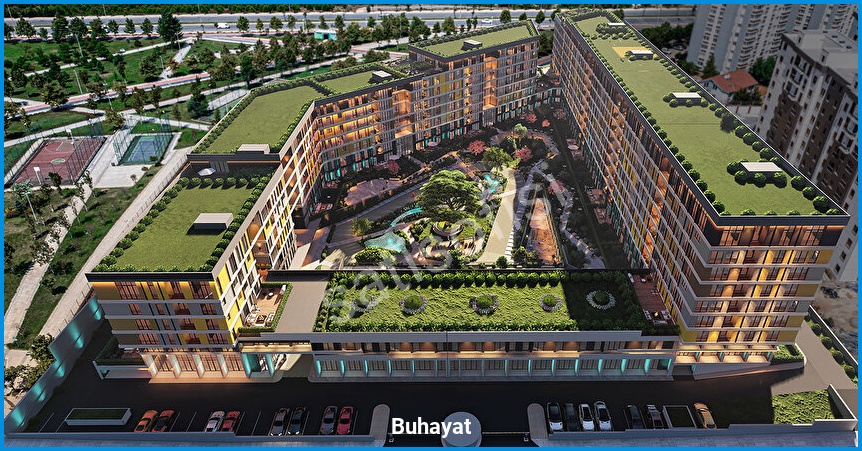 Buhayat İstanbul — görsel