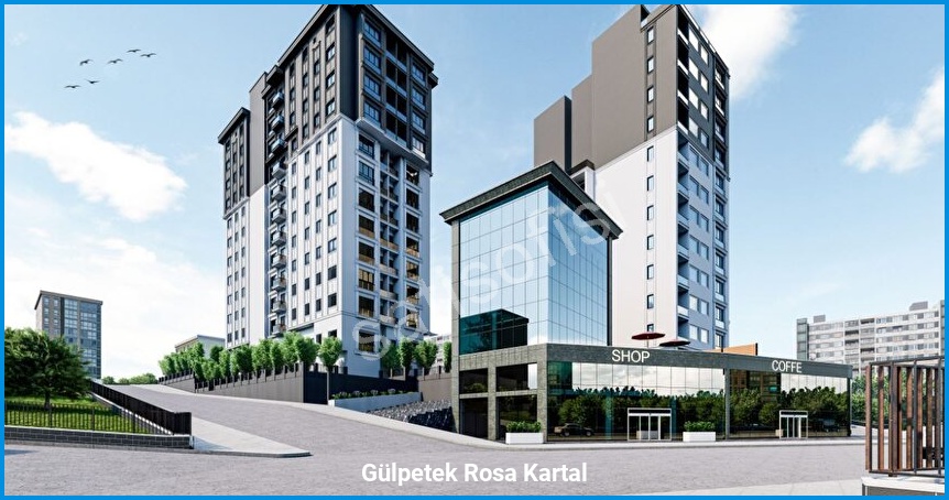 Gülpetek Rosa Kartal
