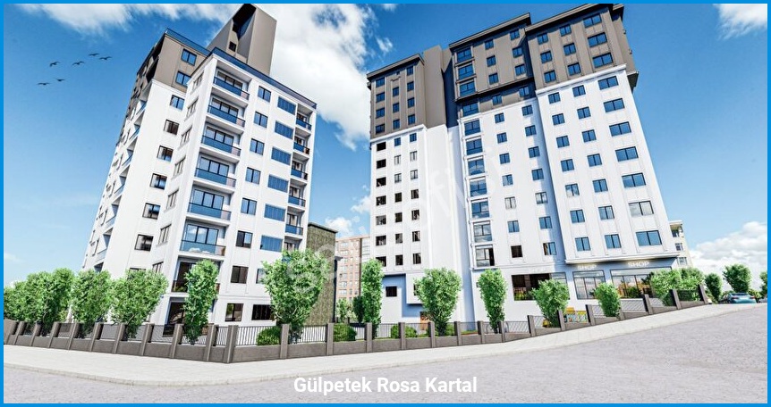 Gülpetek Rosa Kartal görsel 5
