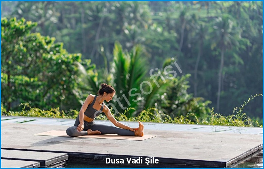 Dusa Vadi Şile 4