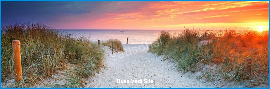 Dusa Vadi Şile 5