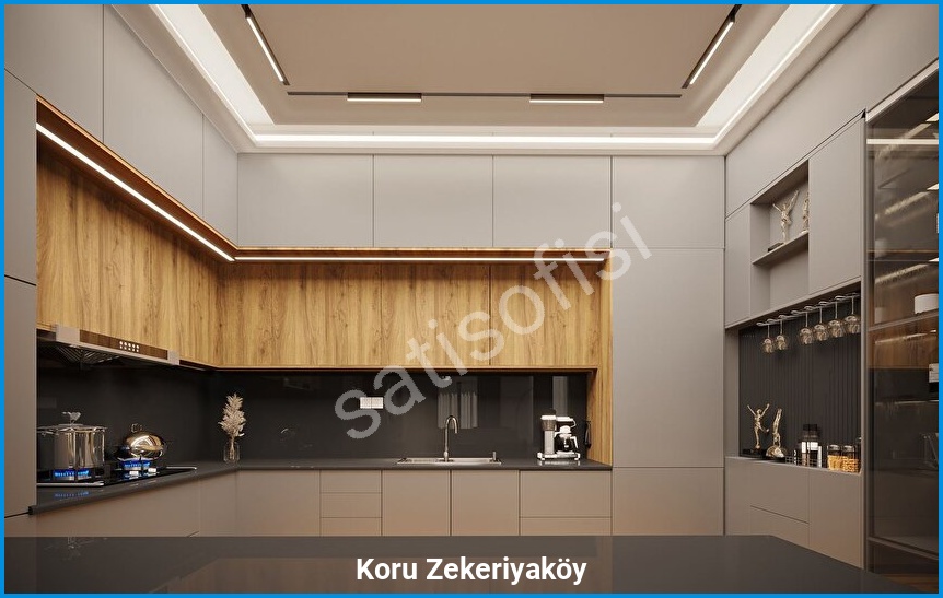 Koru Zekeriyaköy — görsel