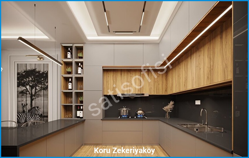 Koru Zekeriyaköy — görsel