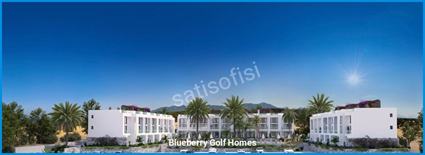 Blueberry Golf Homes 2