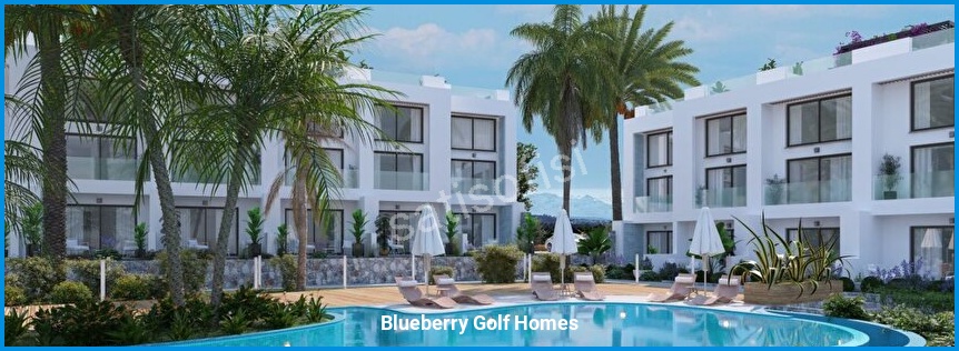 Blueberry Golf Homes 3