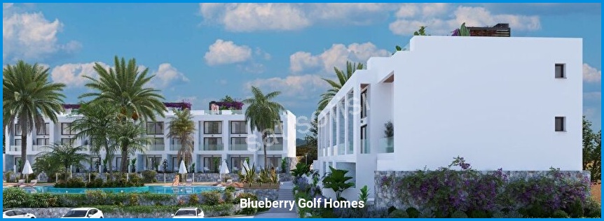 Blueberry Golf Homes 4