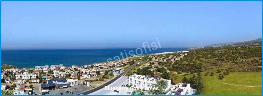 Blueberry Golf Homes 5