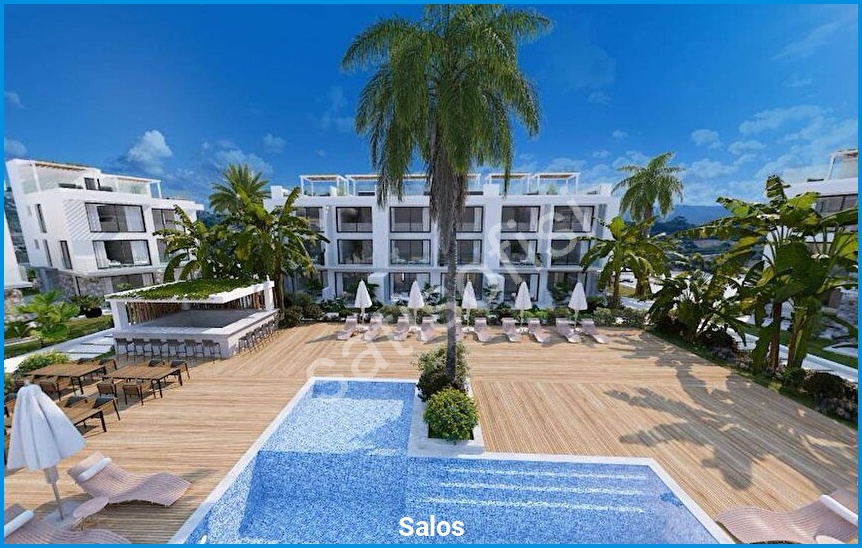 Salos görsel 2