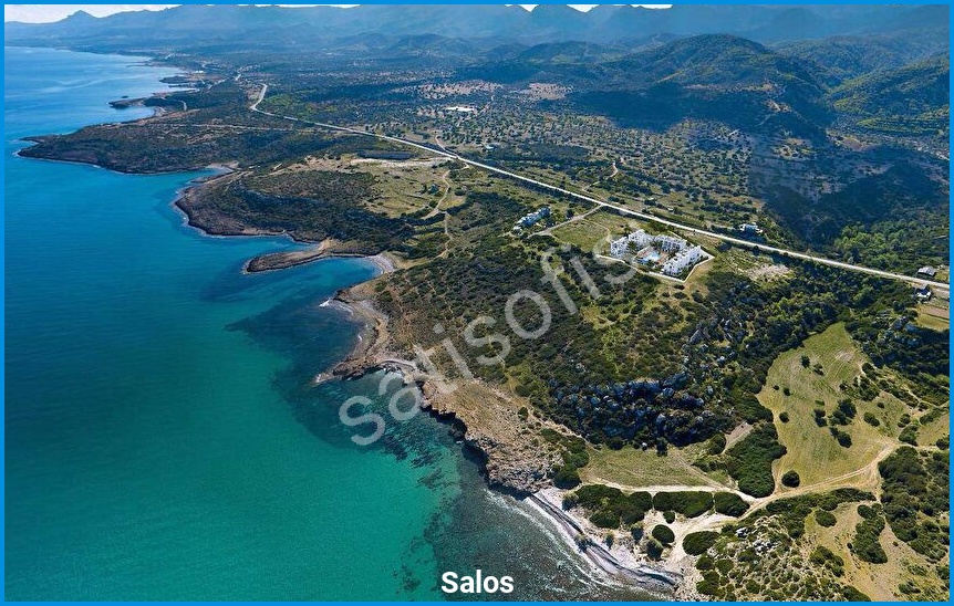 Salos görsel 4